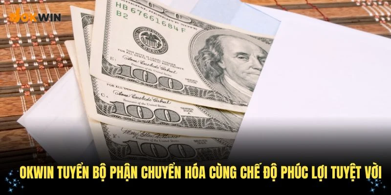 Công ty OKWIN tuyển bộ phận chuyển hóa cùng chế độ phúc lợi tuyệt vời